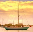 LaFitte 44&nbsp;44