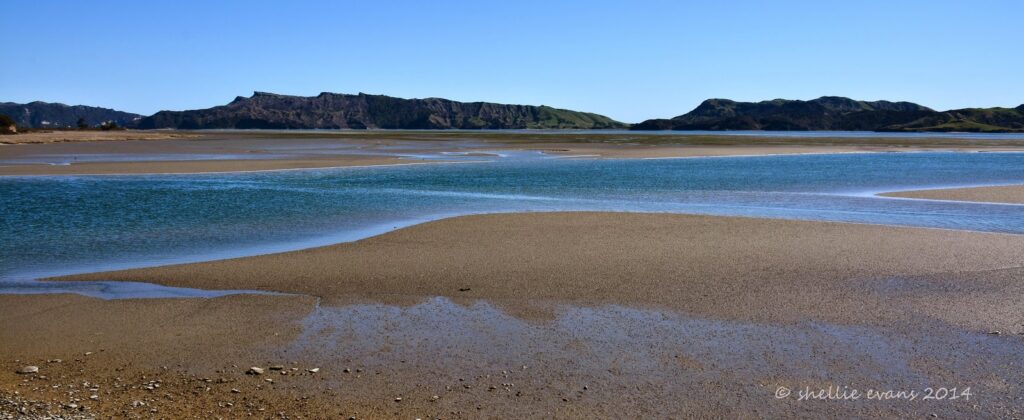 Westhaven Estuary (Whanganui Inlet)