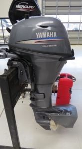 Yamaha F20BMH