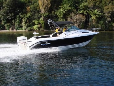 Nereyda 580 Regal