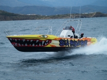 Quer&nbsp;40 The Beast